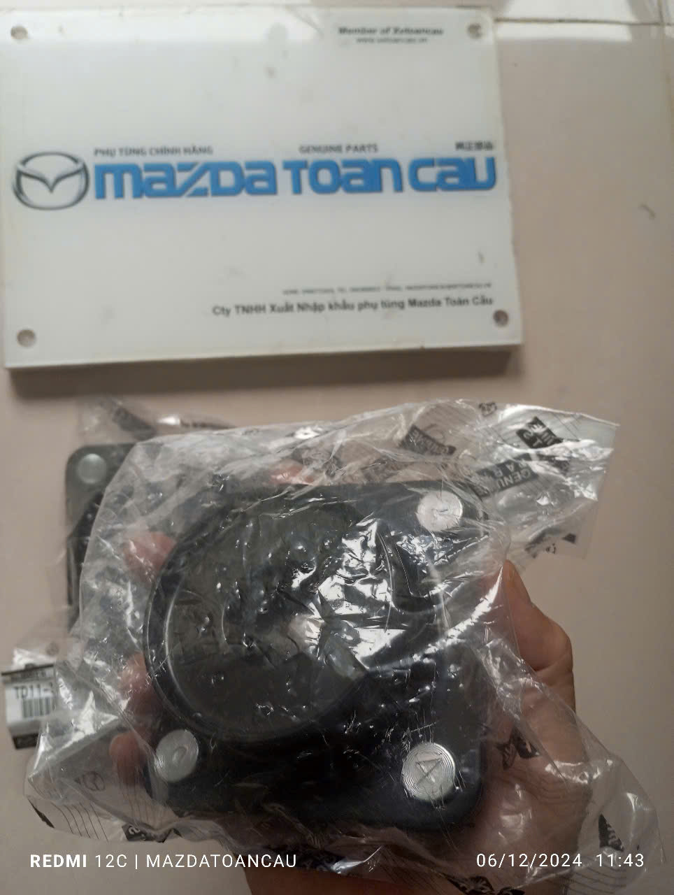 Bat beo giam soc truoc CX9 2014 Genuine JPSIN (4)